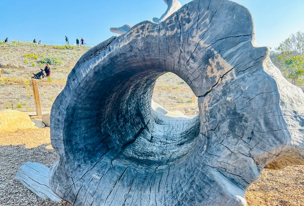 Exploring San Francisco's New Presidio Tunnel Tops with Kids: Climb through giant trees.