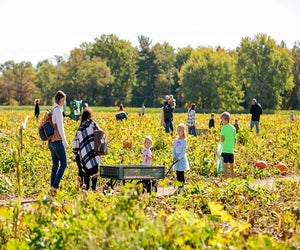Hit the fields to pick a perfect pumpkin at Johnson's Locust Hall Farm. Photo by Elizabeth Mae Photography/courtesy of the farm