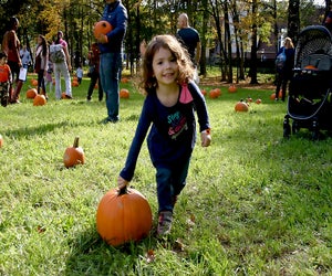 Pick a pumpkin, take a hayride, and more at Liberty Hall Museum's popular pumpkin patch day on Saturday. Photo courtesy of the museum