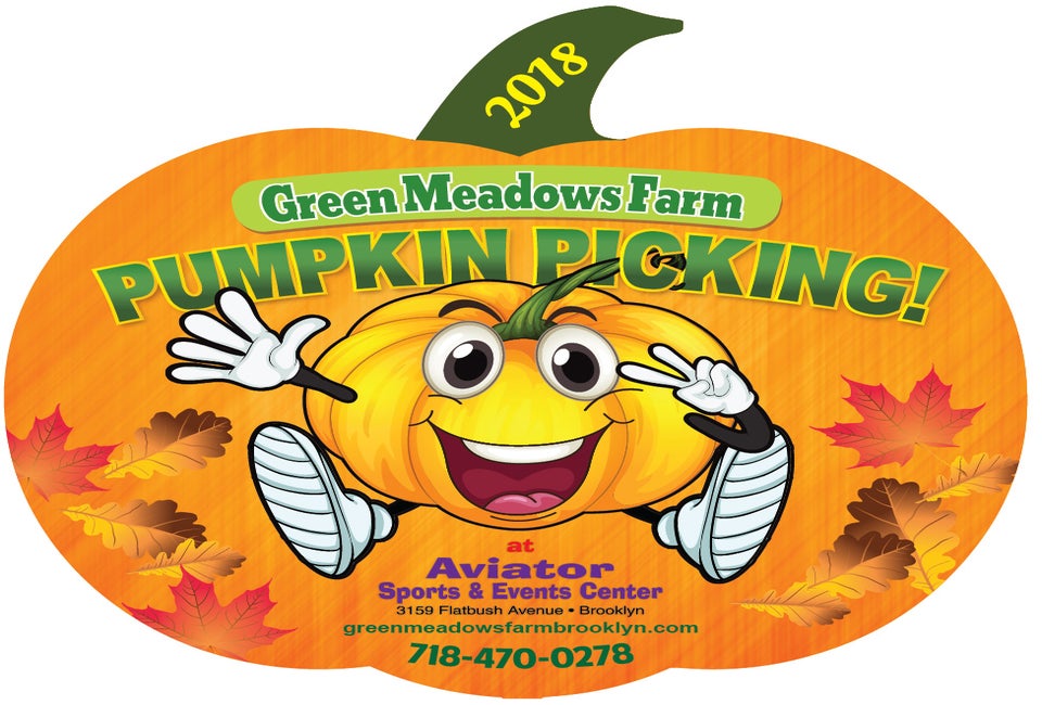 Brooklyn Pumpkin Picking