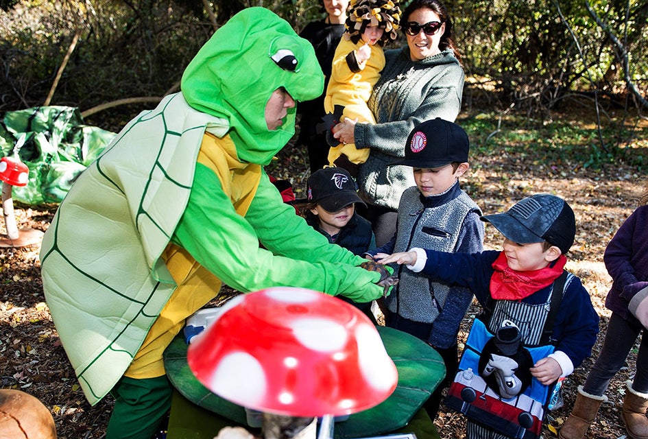 Stroll the Enchanted Trail at the Quogue Wildlife Refuge. Photo courtesy of the refuge