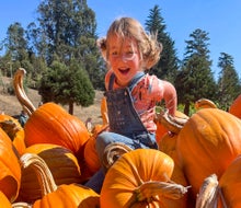 Fall into pumpkin season at Rancho Siempre Verde Christmas Tree and Pumpkin Farm. Photo courtesy of the venue