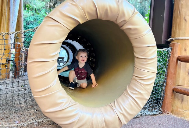Disneyland with a baby: Redwood Creek Challenge Trail
