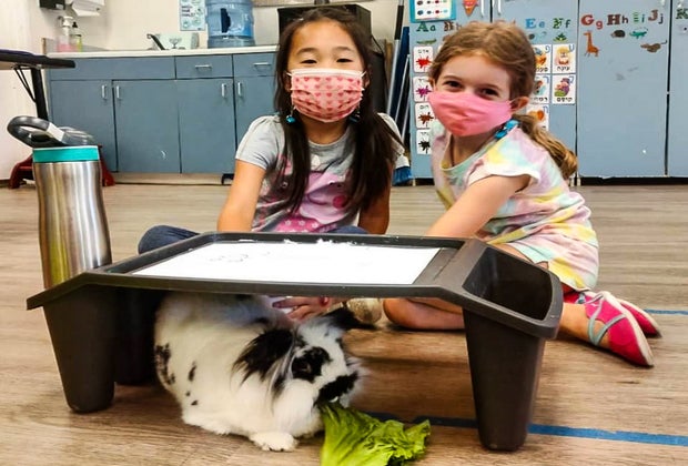 Find an Amazing Petting Zoo near Los Angeles: Reptacular