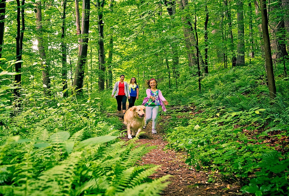 Take a hike at Ridley Creek. Photo courtesy of Visit Philadelphia