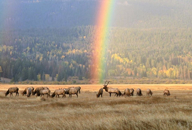 Visit National Parks in 2022 on These Free Entrance Days: The Rocky Mountains