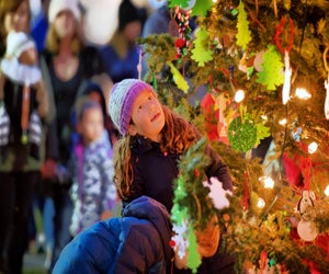 The Roslindale town tree is set aglow on Saturday. Photo courtesy of Roslindale Village Main Street