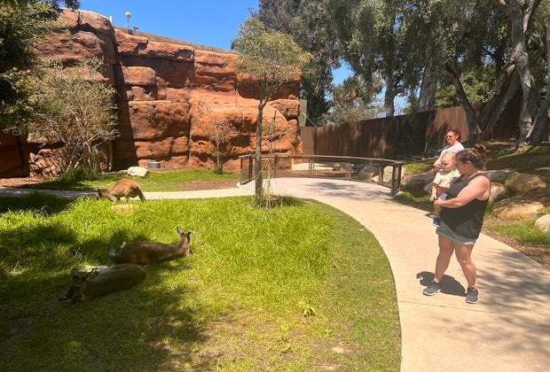 Santa Barbara Zoo: Australian Walkabout