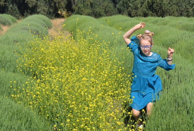 Run through the lavender fields at 123 Farm.