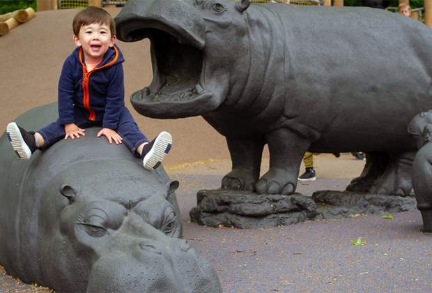 Boy riding on play hippos at a park