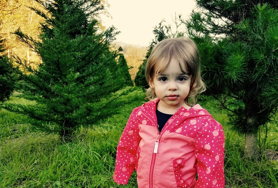 Selecting a real Christmas tree is the perfect yearly family tradition! Photo by Sandra Lee for Mommy Poppins