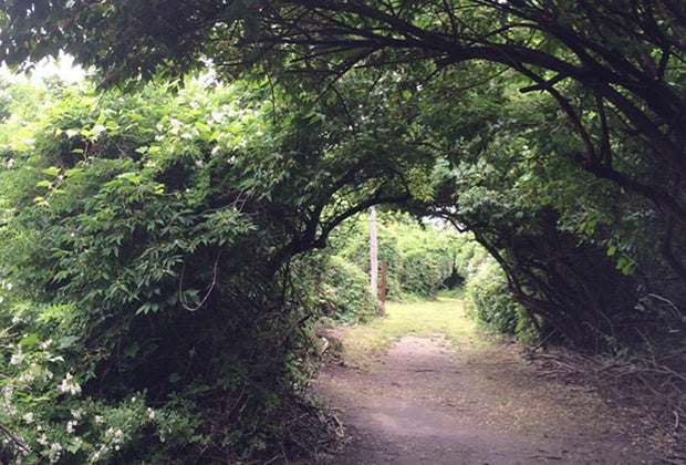 Sand Point Preserve is a great spot for hiking on Long Island