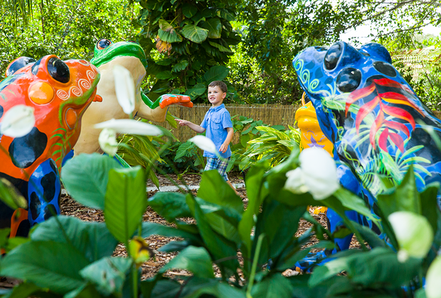 The Children’s Rainforest at Marie Selby Botanical Gardens 