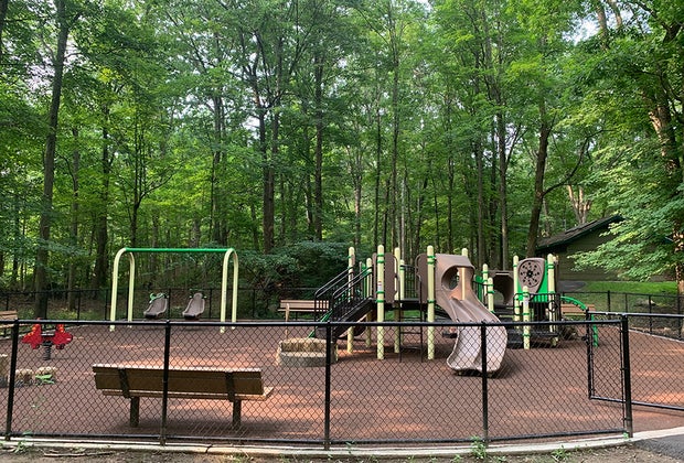 Shade trees tower over the Saxon Woods Park Playground