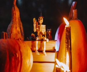 Learn all about Halloween with these fun facts! Image by Bilder von YuM via canva.com