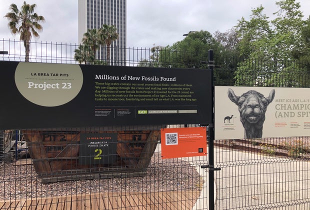 Why You Should Visit LACMA: See Scientists at Work