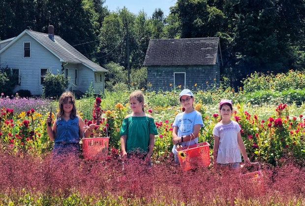 Pick-Your-Own Flowers Middletown