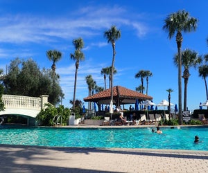 We can think of worse ways to spend a sunny afternoon...