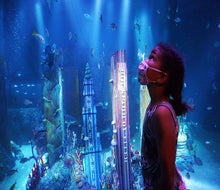 Take in an array of sea creatures at Sea Life's Sharks Fifth Avenue Exhibit where familiar landmarks get an undersea makeover. 