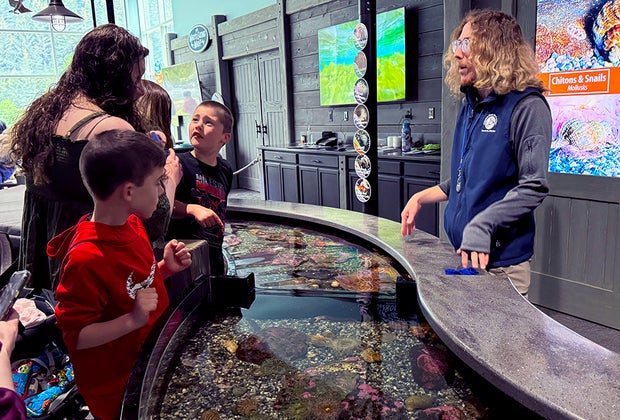 Alaska SeaLife Center: Things To Do in Seward, Alaska with kids