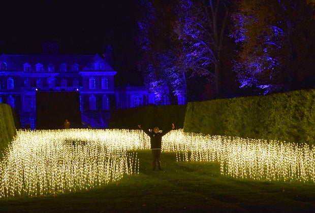 Boy standing in a field of lights at Shimmering Solstice