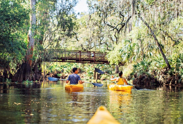kayaking tour of Shingle Creek. 100 Things To Do in Orlando with Kids