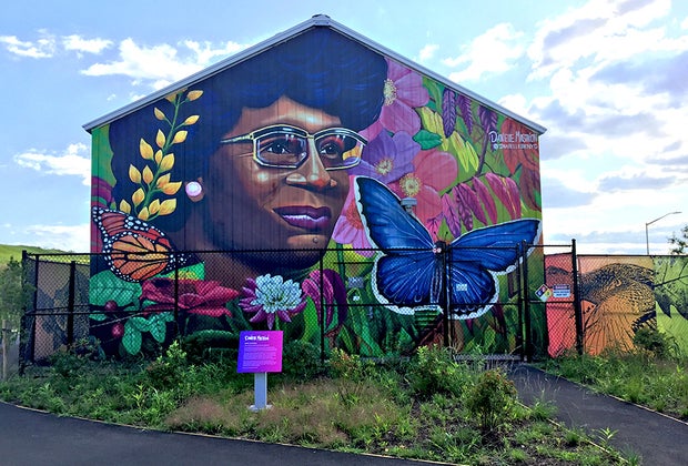 Penn Shoreline Clean-Up at Shirley Chisholm State Park  25 Free Things To Do in NYC This Winter