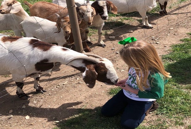 Singing Waters Vineyards
