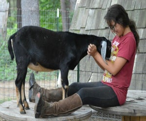 SJ Riding Camp offers options ranging from a one-day camp through a three-week overnight session. Photo courtesy of Farm Camp at SJ