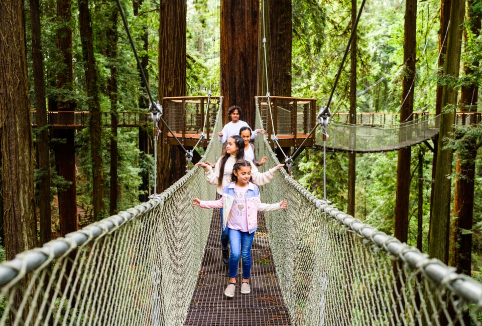 Photo courtesy of Redwood SkyWalk