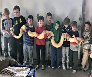 Let the New England Reptile Show prove snakes can make fun party animals! Photo by author