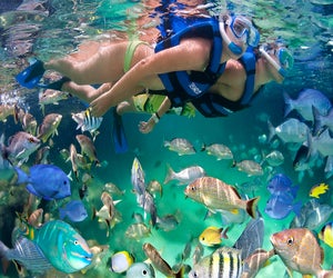 Photo of snorkeling at Xel-Ha in Mexico courtesy the water park.