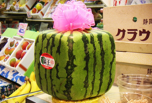 101 Fun Facts For Kids: Square watermelons exist!