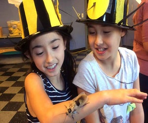 Introduce kids to the mysterious world of  bugs at the Long Island Children's Museum's annual Bug Bonanza event. Photo courtesy of LICM