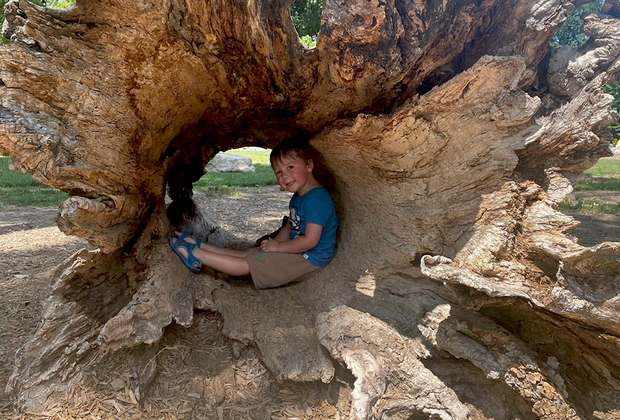 St. Louis with Kids Boy in tree trunk