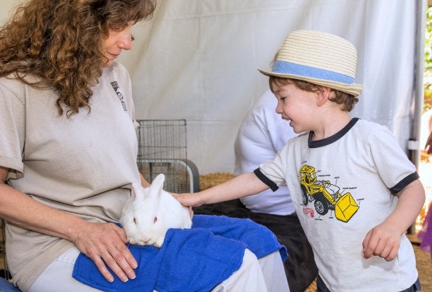 Celebrate Spring at the LA Zoo. Photo by Jamie Pham/GLAZA