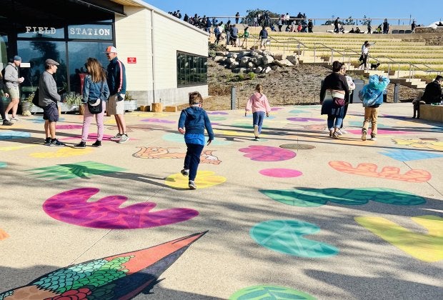 So many colorful places to run around! Photo by the author