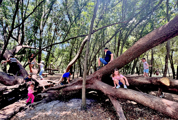 Bonnet Springs Park in Lakeland makes the the perfect outdoor day trip.