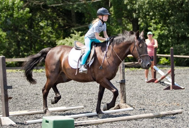 Challenge yourself at Ashford Farm. Photo courtesy of the farm