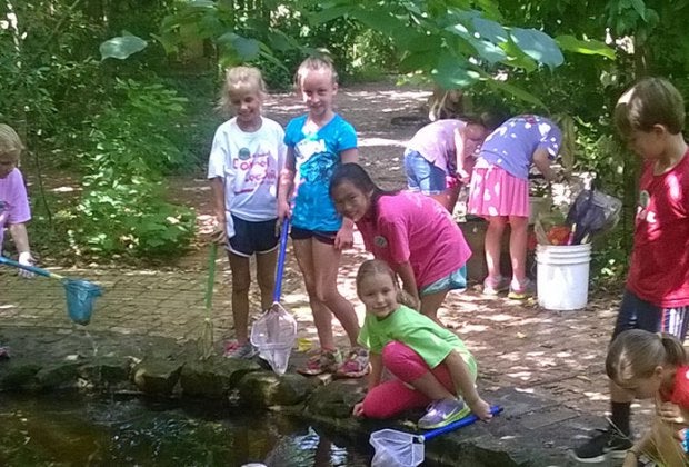 Image courtesy of Houston Audubon Society