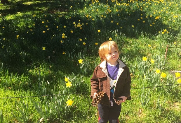 Spring may be the most colorful season at the Brooklyn Botanic Garden, but it's worth a visit anytime of the year.