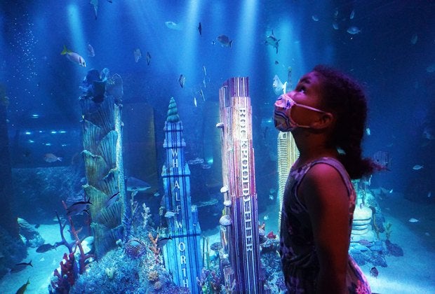 Gaze into the City Under the Sea at Sea Life Aquarium, one of our favorite kid-friendly openings in New Jersey in 2021. Photo by Jody Mercier