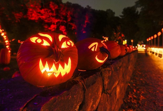 The Great Jack-o'-Lantern Blaze returns to Van Cortlandt Manor for its 20th anniversary season.