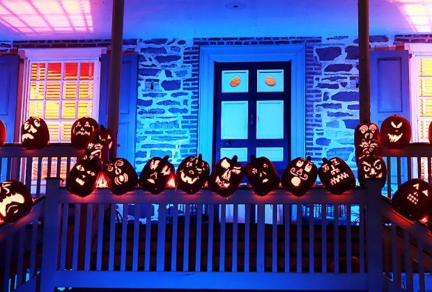 The Great Jack O' Lantern Blaze is worth a trip across state lines to New York! Photo by Margaret Hargrove