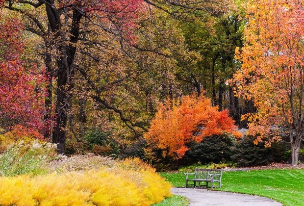 The paths are perfect for little hikers at the New York Botanical Garden.