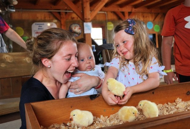 Kids can hang with the barnyard animals at Cherry Crest Adventure Farm. Photo courtesy the farm