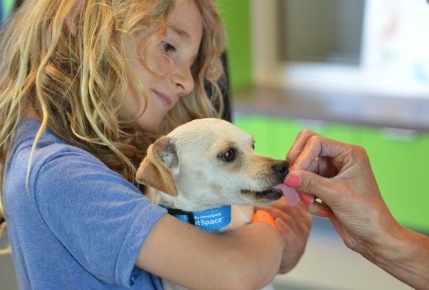 A little girl gets ready to take home a new forever friend.