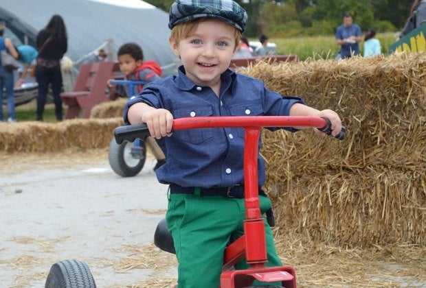 Connors Farm has apples, corn mazes, and ride-ons among the haystacks! 
