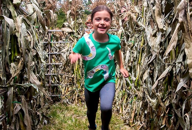 Celebrate the harvest at CORNucopia in Sleepy Hollow. Photo courtesy of the Historic Hudson Valley 
