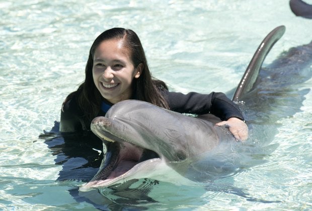 Photo courtesy of Seaworld